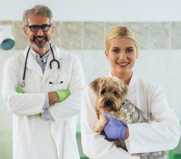 Ragged Mountain Animal Hospital - Veterinarian in Plainville, CT US